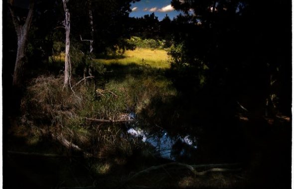 201917-small-1-590×380